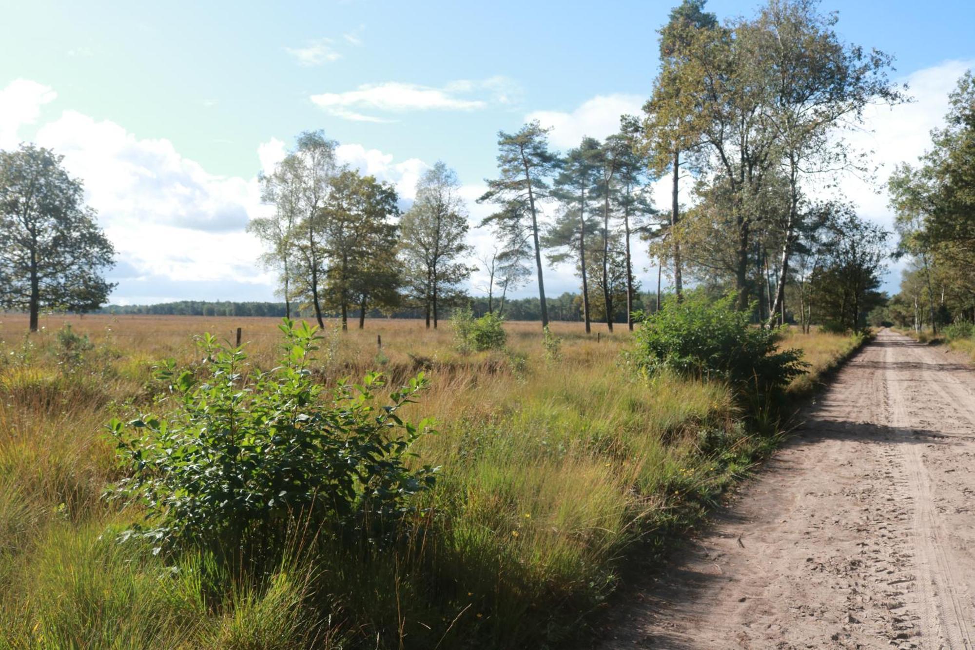 Отель Park Drentheland Zorgvlied Экстерьер фото